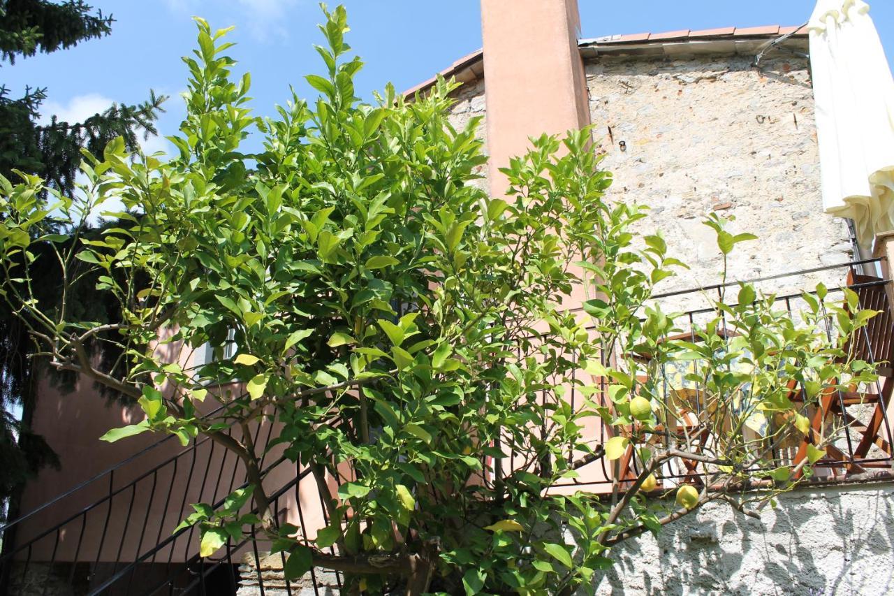 Agriturismo Terrazza Sul Golfo - Il Casale La Spezia Eksteriør bilde